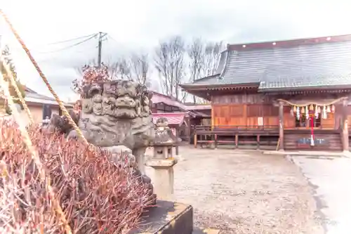 田出宇賀神社の狛犬