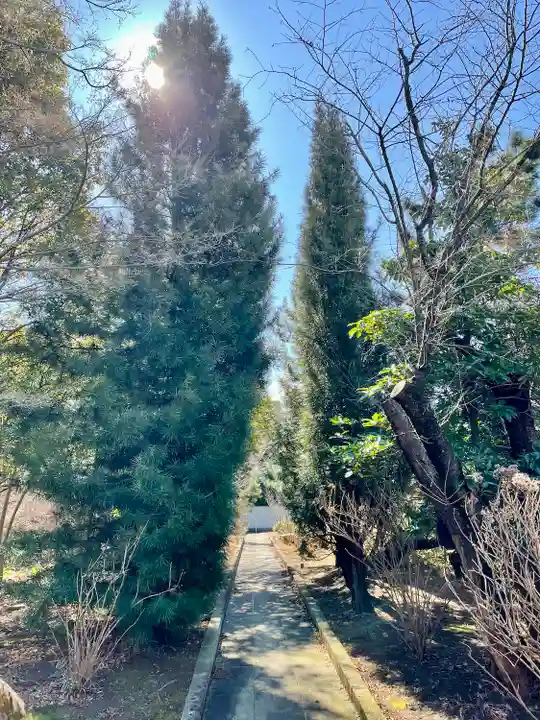 瑠璃光院薬師堂(東京都)