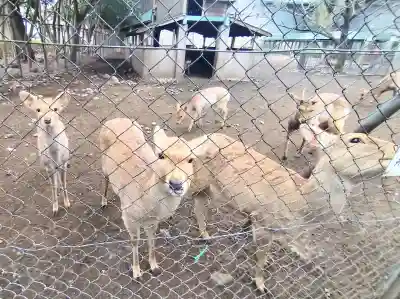 三嶋大社の{uncategorized: "未分類", other: "その他", undefined: "問題あり", building: "その他建物", grave: "お墓", sacred_gate: "鳥居", guardian: "狛犬", statue: "像", buddha: "仏像", history: "歴史", nature: "自然", garden: "庭園", animal: "動物", pagoda: "塔", temizu: "手水舎", mountain_gate: "山門・神門", sanctuary: "本殿・本堂", subordinate: "末社・摂社", art: "芸術", scenery: "景色", jizo: "地蔵", ema: "絵馬", goshuin: "御朱印", omikuji: "おみくじ", items: "授与品その他", amulet: "お守り", goshuincho: "御朱印帳", eats: "食事", festival: "お祭り", votive_dance: "神楽", shichigosan: "七五三参", wedding: "結婚式", experience: "体験その他", initially: "初詣", around: "周辺", anti_infection: "感染症対策"}