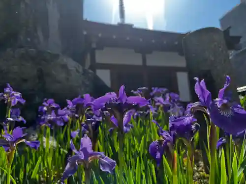 松本山　地福禅寺(滋賀県)
