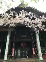 金剛宝寺(紀三井寺)の本殿・本堂