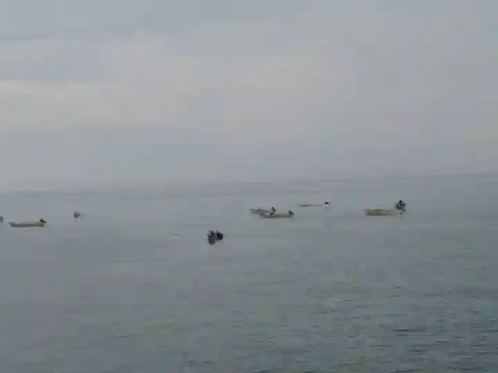 美国神社の周辺