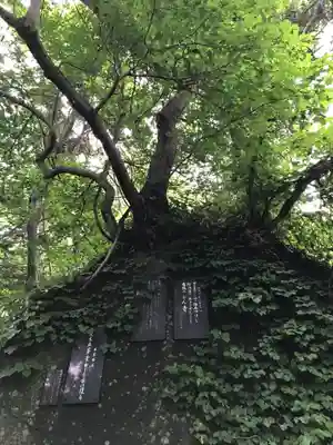 有珠善光寺(北海道)