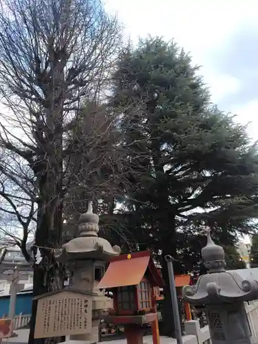 草加神社(埼玉県)