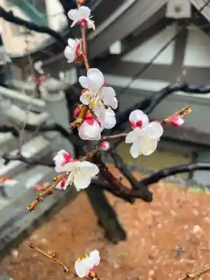 湯島天満宮(東京都)