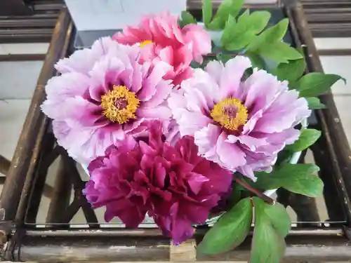 祥龍山 金剛寺(神奈川県)