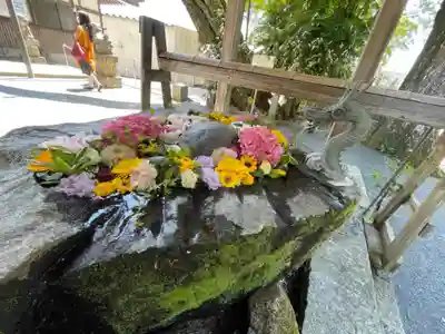 飛龍八幡宮の手水舎