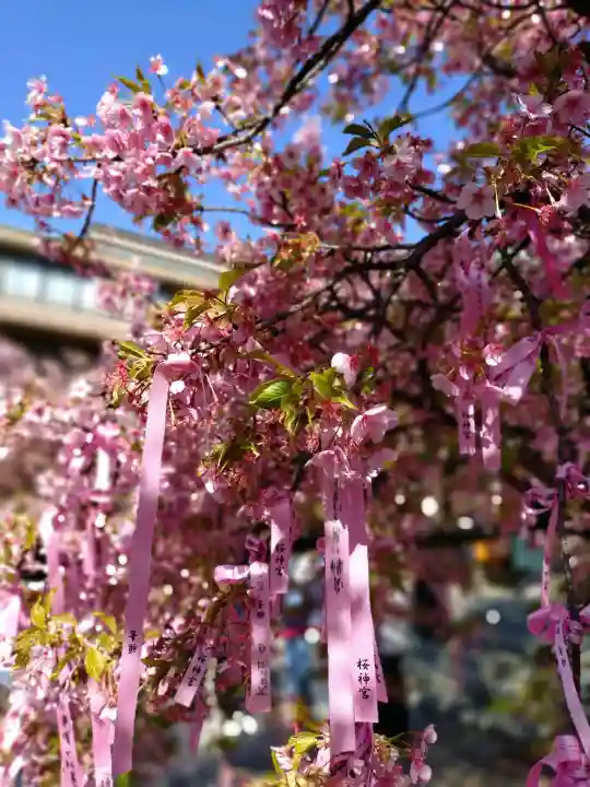 桜神宮の{uncategorized: "未分類", other: "その他", undefined: "問題あり", building: "その他建物", grave: "お墓", sacred_gate: "鳥居", guardian: "狛犬", statue: "像", buddha: "仏像", history: "歴史", nature: "自然", garden: "庭園", animal: "動物", pagoda: "塔", temizu: "手水舎", mountain_gate: "山門・神門", sanctuary: "本殿・本堂", subordinate: "末社・摂社", art: "芸術", scenery: "景色", jizo: "地蔵", ema: "絵馬", goshuin: "御朱印", omikuji: "おみくじ", items: "授与品その他", amulet: "お守り", goshuincho: "御朱印帳", eats: "食事", festival: "お祭り", votive_dance: "神楽", shichigosan: "七五三参", wedding: "結婚式", experience: "体験その他", initially: "初詣", around: "周辺", anti_infection: "感染症対策"}