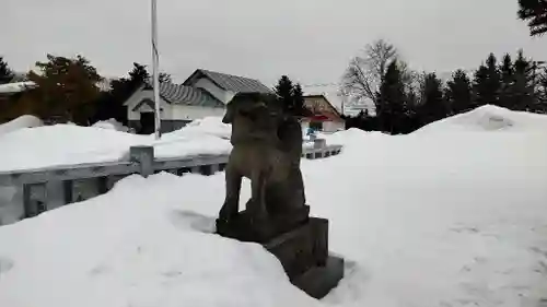 美瑛神社の狛犬