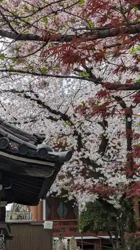壬生寺(京都府)