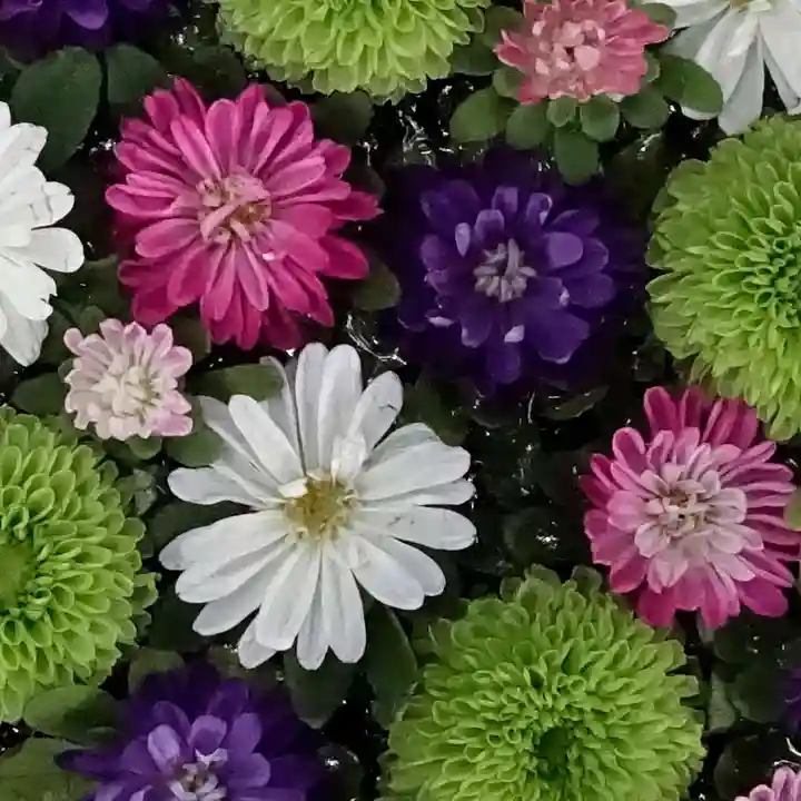 帯廣神社の手水舎