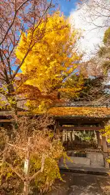 梨木神社(京都府)