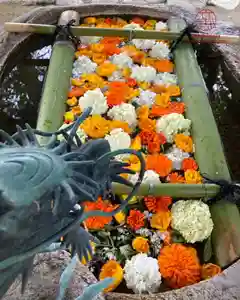 立志神社(滋賀県)(2025年04月29日(火) 12時24分08秒投稿)