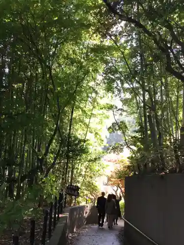 本土寺(千葉県)