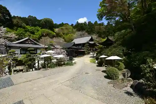 岡寺（龍蓋寺）(奈良県)