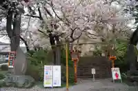 新倉富士浅間神社(山梨県)