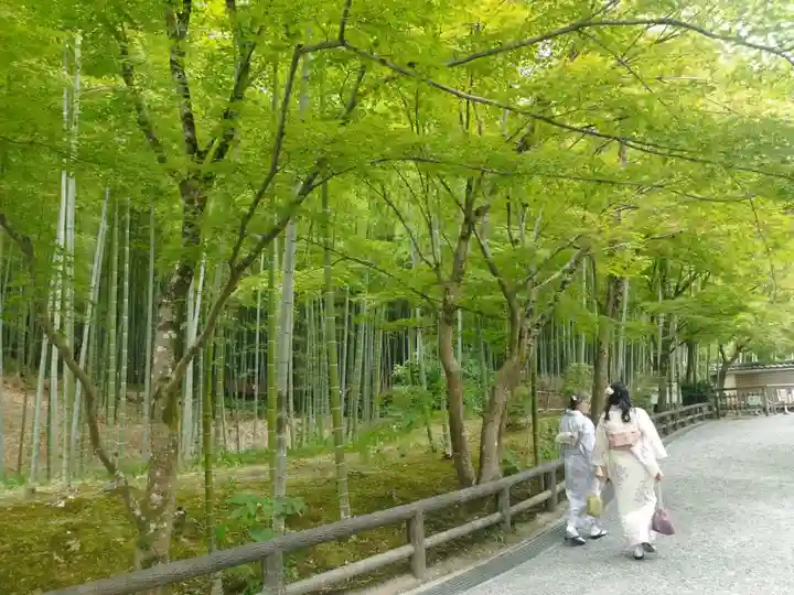 天龍寺(京都府)