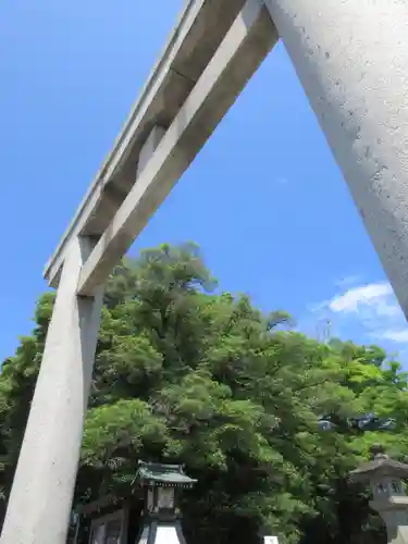 三嶋大社の鳥居