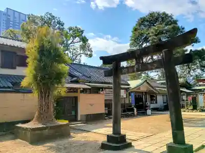 品川神社(東京都)