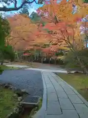 高野山金剛峯寺奥の院(和歌山県)