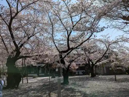 本願寺山科別院(京都府)