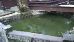 神炊館神社 ⁂奥州須賀川総鎮守⁂の庭園