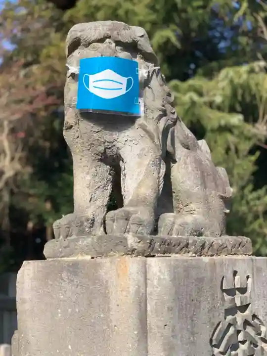 常陸第三宮 吉田神社の狛犬