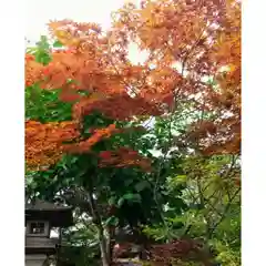 彌彦神社　(伊夜日子神社)(北海道)