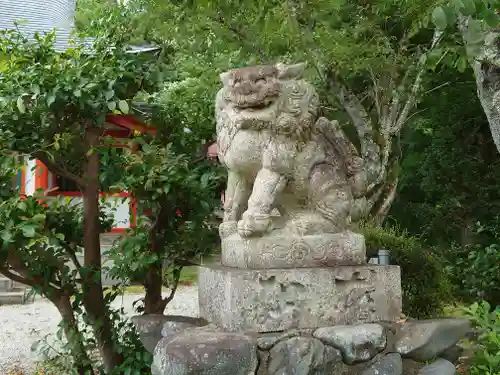 佐久奈度神社の狛犬