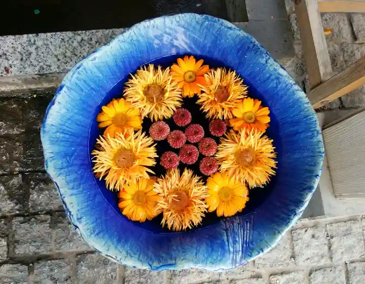 川越八幡宮(埼玉県)