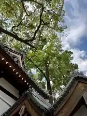 阿保神社(大阪府)