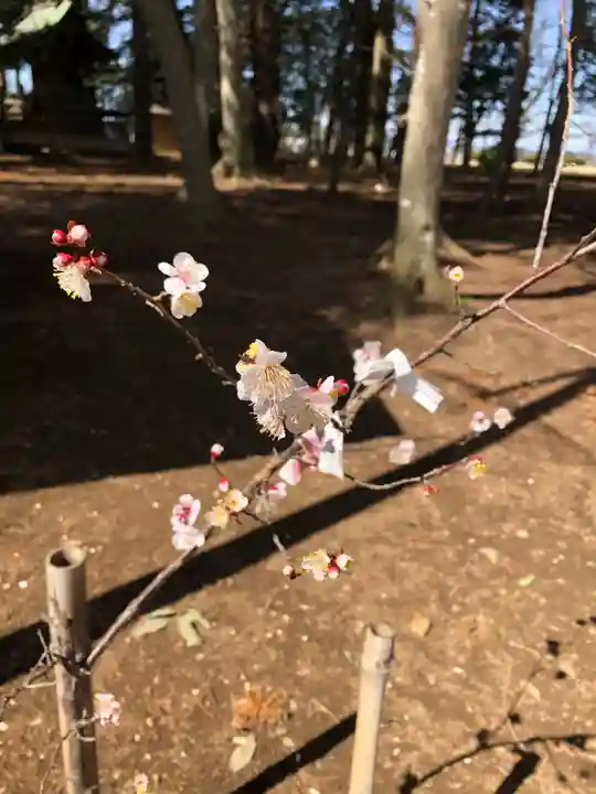 東蕗田天満社の自然