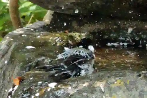 海龍王寺(奈良県)