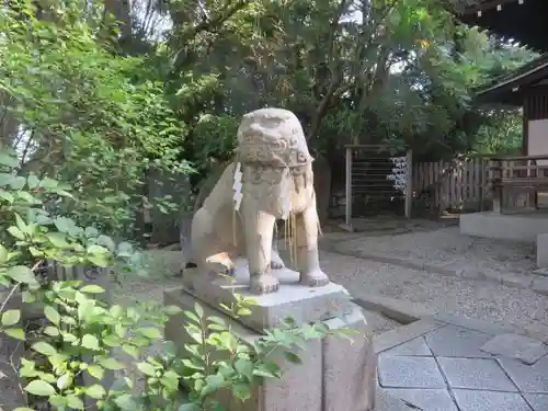 安居神社の狛犬