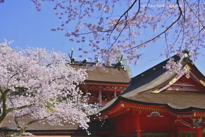 富士山本宮浅間大社(静岡県)