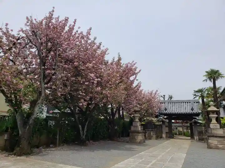 荘厳寺(東京都)