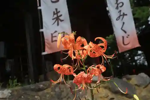 高司神社〜むすびの神の鎮まる社〜の庭園