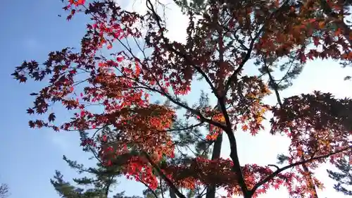 今宮神社の自然