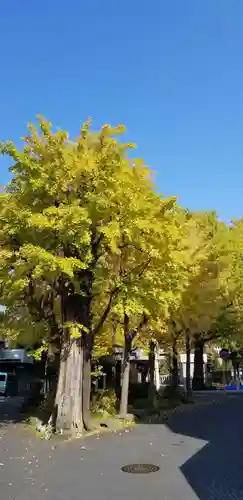 高木神社の自然