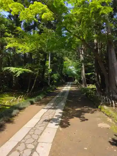 寿福寺(神奈川県)