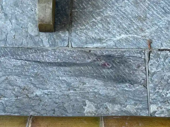 三峯神社の{uncategorized: "未分類", other: "その他", undefined: "問題あり", building: "その他建物", grave: "お墓", sacred_gate: "鳥居", guardian: "狛犬", statue: "像", buddha: "仏像", history: "歴史", nature: "自然", garden: "庭園", animal: "動物", pagoda: "塔", temizu: "手水舎", mountain_gate: "山門・神門", sanctuary: "本殿・本堂", subordinate: "末社・摂社", art: "芸術", scenery: "景色", jizo: "地蔵", ema: "絵馬", goshuin: "御朱印", omikuji: "おみくじ", items: "授与品その他", amulet: "お守り", goshuincho: "御朱印帳", eats: "食事", festival: "お祭り", votive_dance: "神楽", shichigosan: "七五三参", wedding: "結婚式", experience: "体験その他", initially: "初詣", around: "周辺", anti_infection: "感染症対策"}