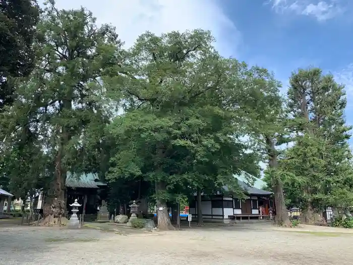 飯泉八幡神社の建物その他