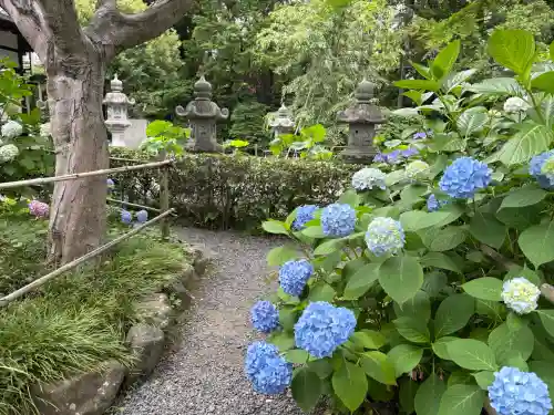 頼光寺(兵庫県)