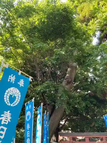 春日神社(神奈川県)