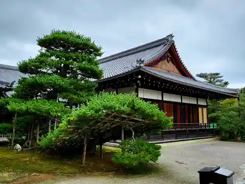 鹿苑寺（金閣寺）(京都府)