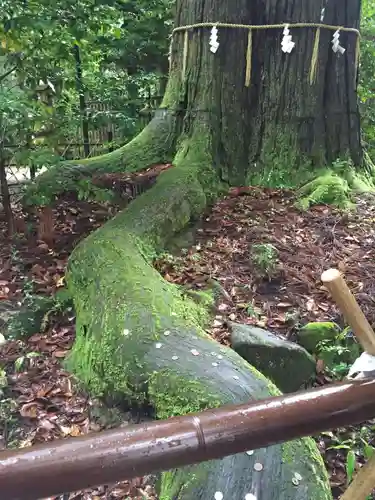 須佐神社の自然