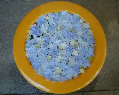 帯廣神社の手水舎