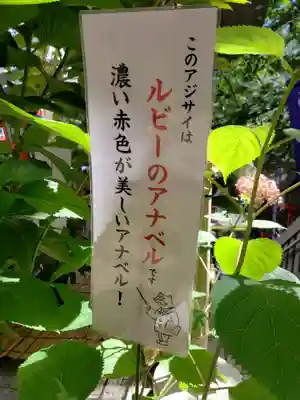 十番稲荷神社(東京都)