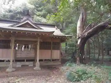 芝崎神社の本殿・本堂