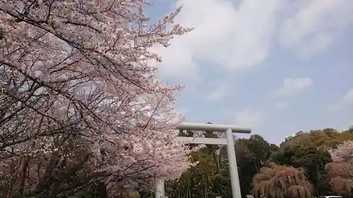 櫻木神社の自然